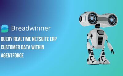 Query Netsuite Customer data in Agentforce – Salesforce – Breadwinner