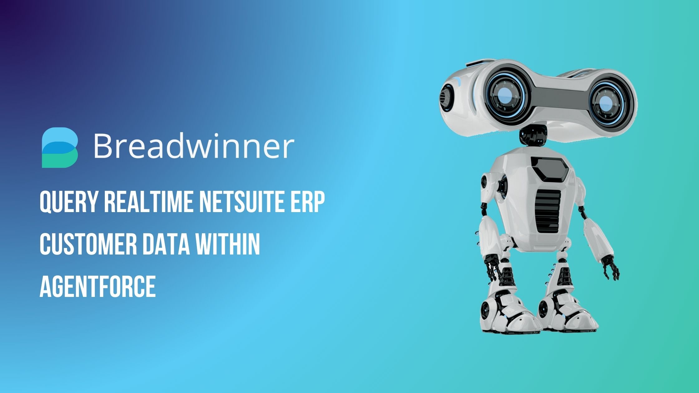 Query Realtime Netsuite Erp Customer Data Within Agentforce